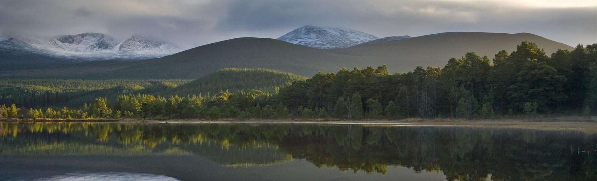 Banner image for 5 of the best walks in the Cairngorms banner image