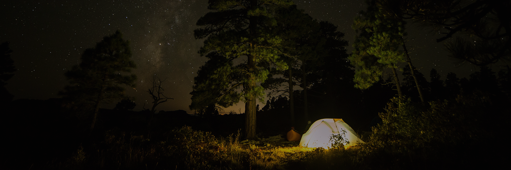 Three cool campsites for kids banner image