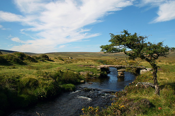 Explore Dartmoor National Park banner image