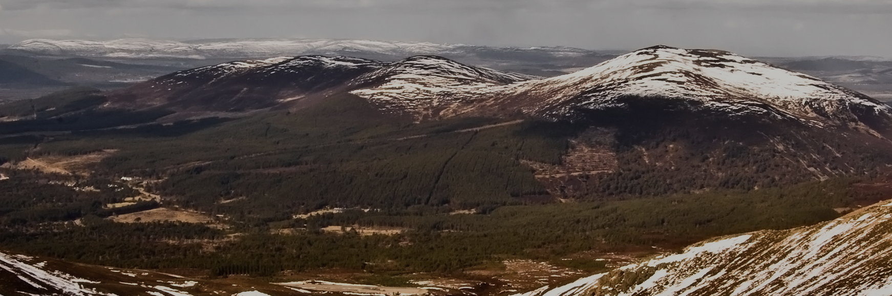 Skiing in the Cairngorms banner image