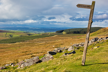 Our 50 favourite walks 
