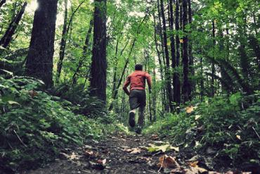 Beginner's guide to trail running 