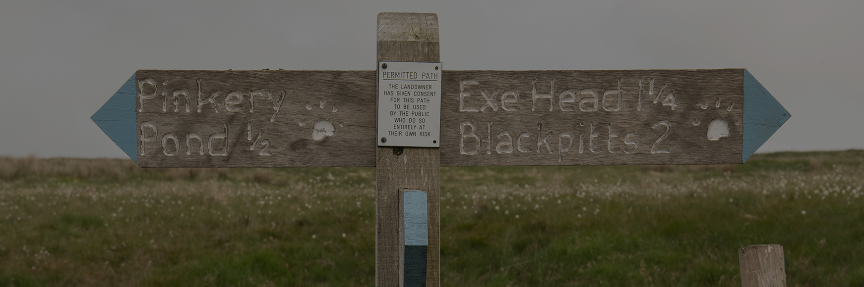 The Best Long Walks around Exmoor banner image